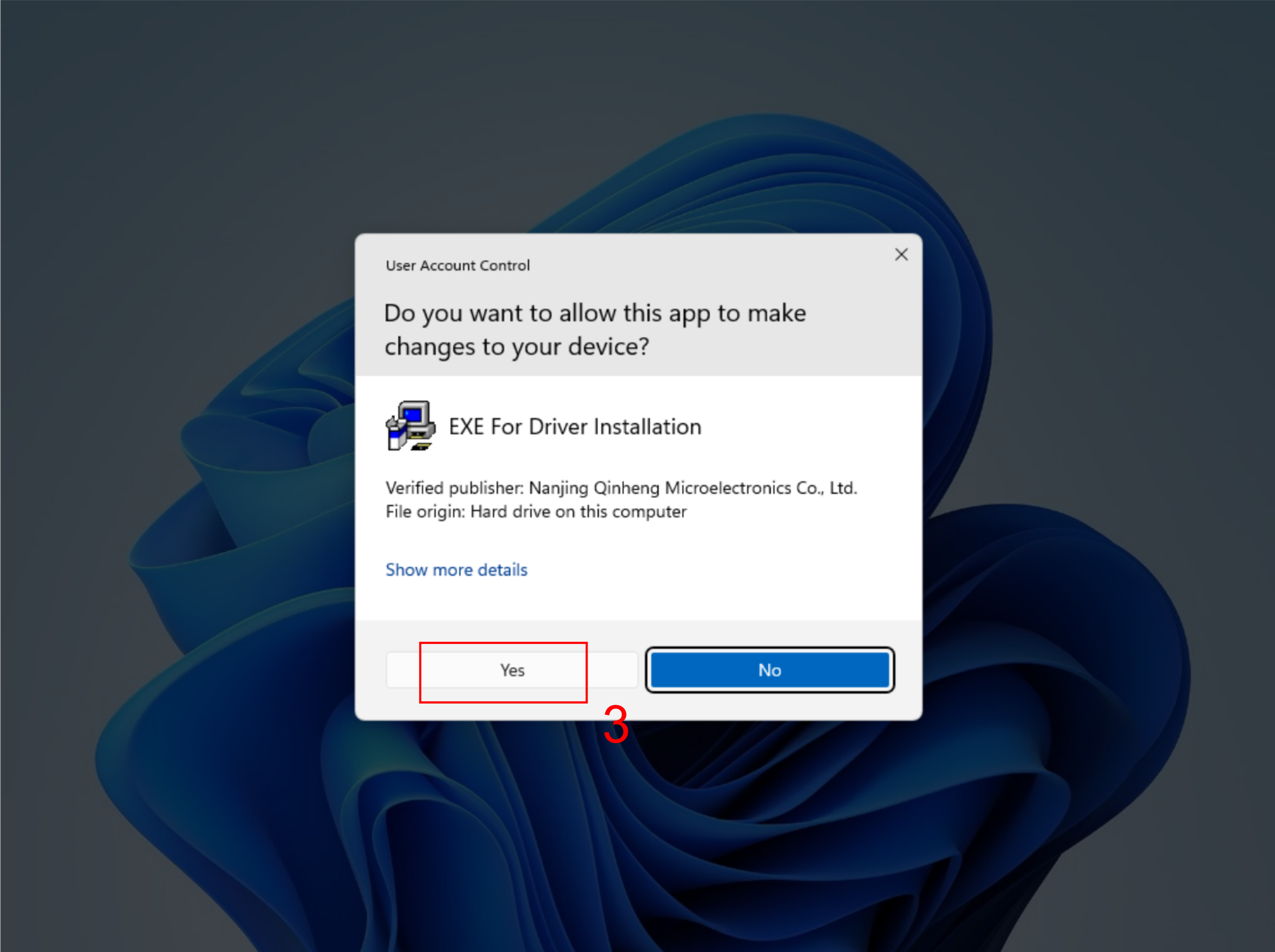 Driver Setup Completing Installation